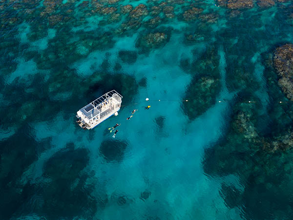 Lady Elliott Island snorkelling