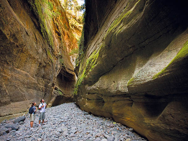 Boowinda Gorge at Carnarvon Gorge