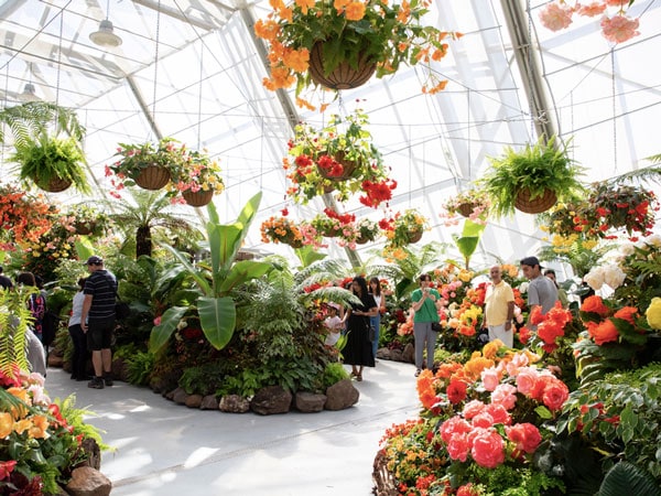 Begonia Festival in Ballarat, VIC