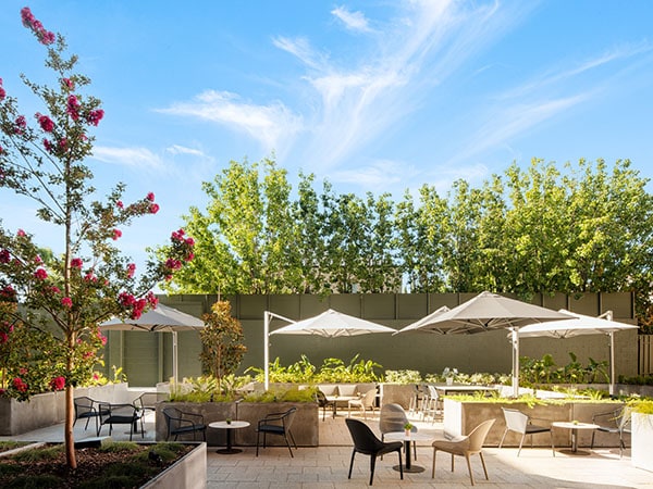 Outdoor Courtyard and Garden Area, Majestic Hotels and Apartment, Adelaide, South Australia