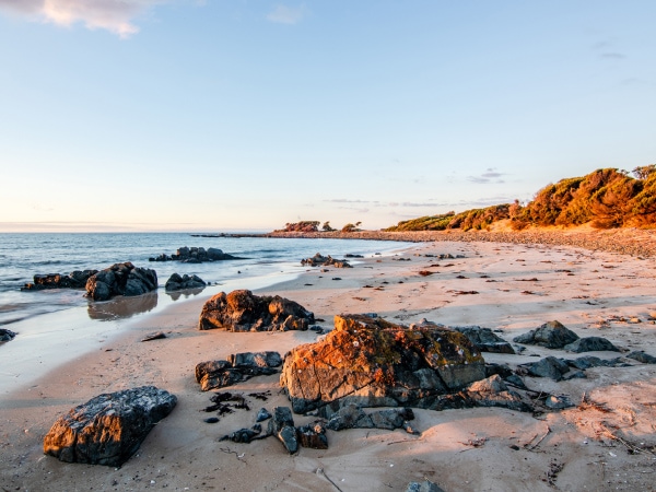 Griffiths Point,