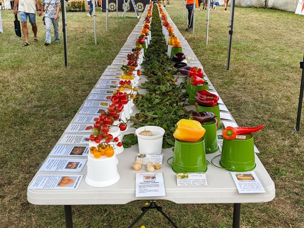Tasmanian Garlic & Tomato Festival in Selbourne