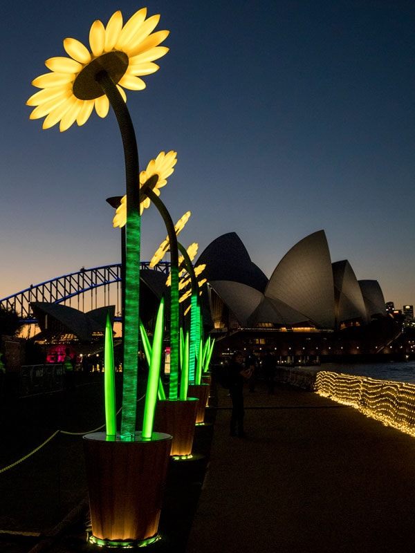 Vivid Sydney