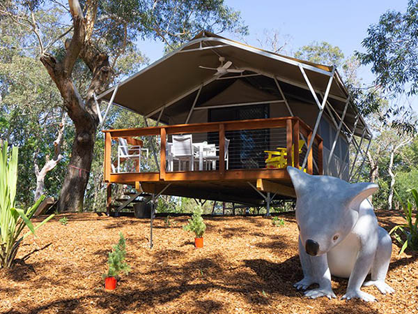 Deluxe Glamping Tents at Port Stephens Koala Sanctuary