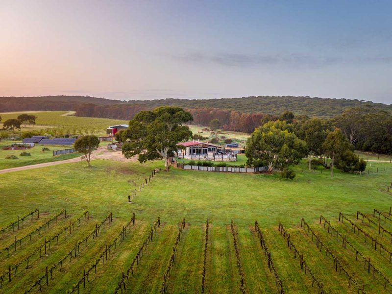 Photo of a vineyard in Kangaroo island.