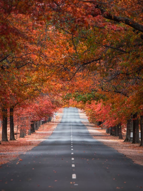 Macedon in Victoria