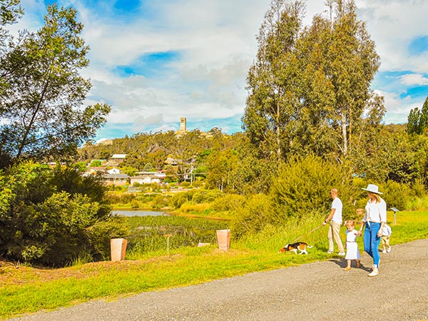 Goulburn wetlands, NSW, Australia