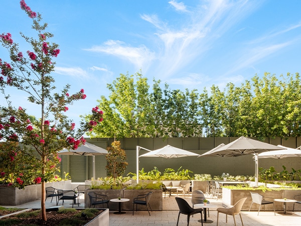 Outdoor Courtyard and Garden Area, Majestic Hotels M Suites, South Australia, Australia