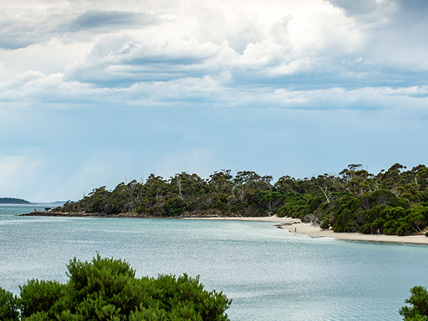Cockle Creek