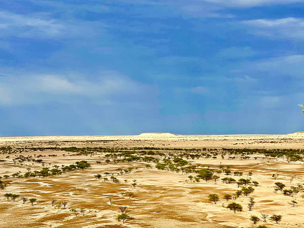 Daytime vista at Rangeland Outback Camp, Winston, Queensland, Australia