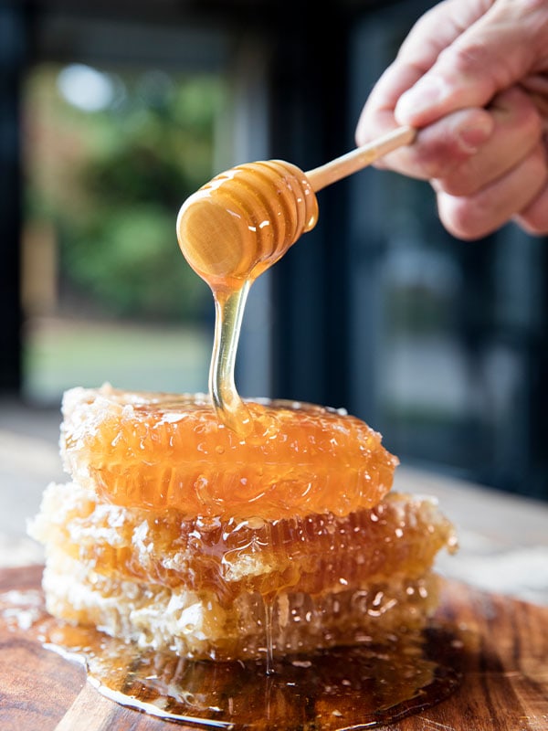 Honey Haven Cafe, Mudgee, NSW, Australia
