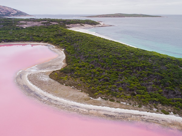 Pink lake, Lake Hillier, Esperance, West Australia, Australia