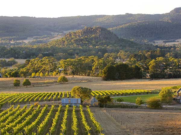 Macedon Ranges Winery, Daylesford surrounds, VIC, Australia