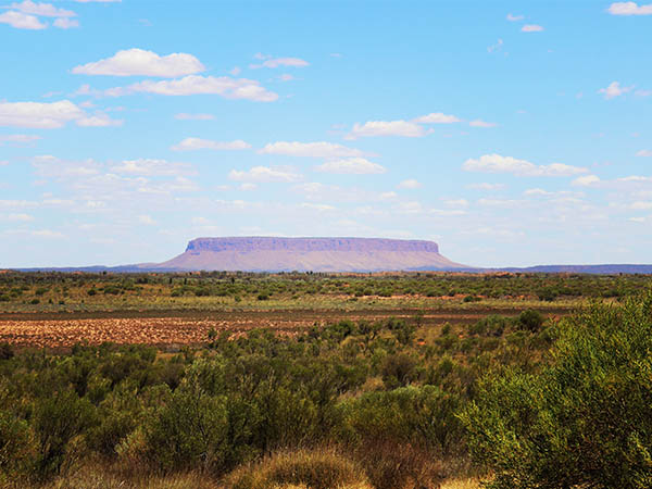 My Conner Northern Territory