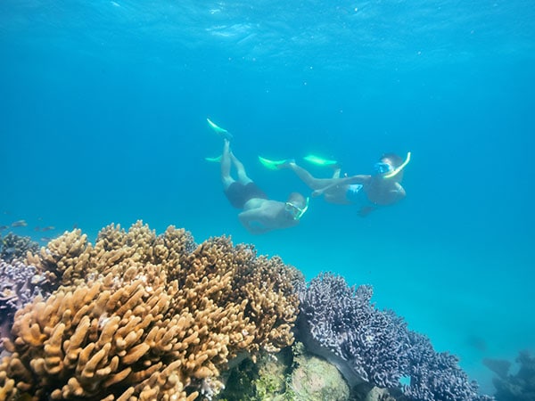 Freediving in the Great Barrier Reef, Queensland, Australia