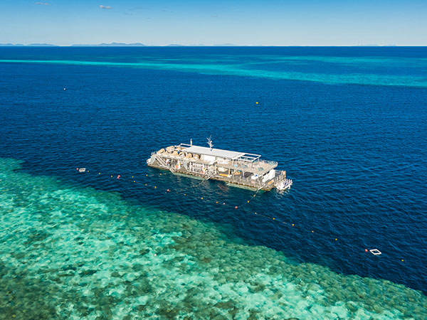 Reefworld Pontoon, Whitsundays, Queensland, Australia