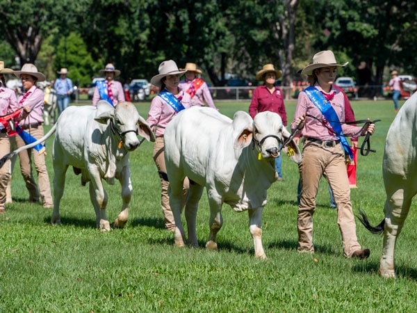 Freds Pass Rural Show in Darwin