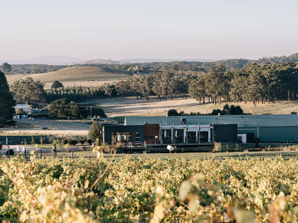 the scenic landscape surrounding Passing Clouds winery