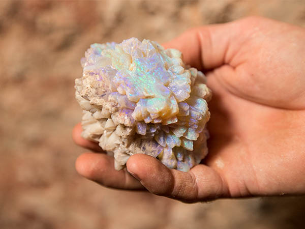 Red Earth Opal at White Cliffs
