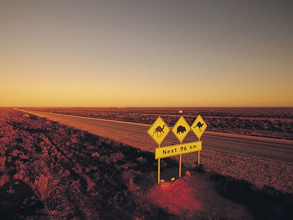 Nullabor Plain