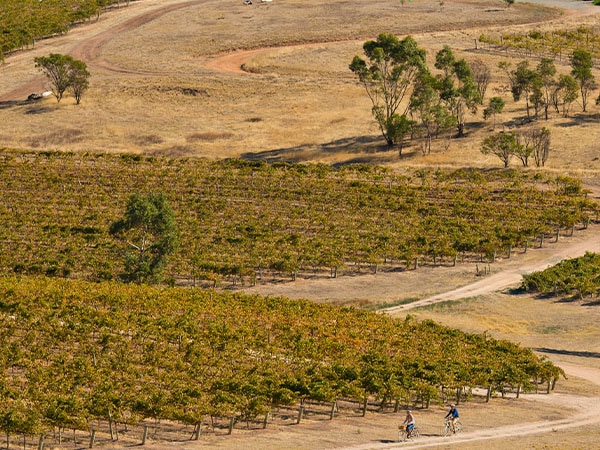 South Australia’s Clare Valley wine region, SA, Australia