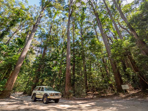 Riding a four wheeler to Pile Valley Rainforest, Queensland, Australia