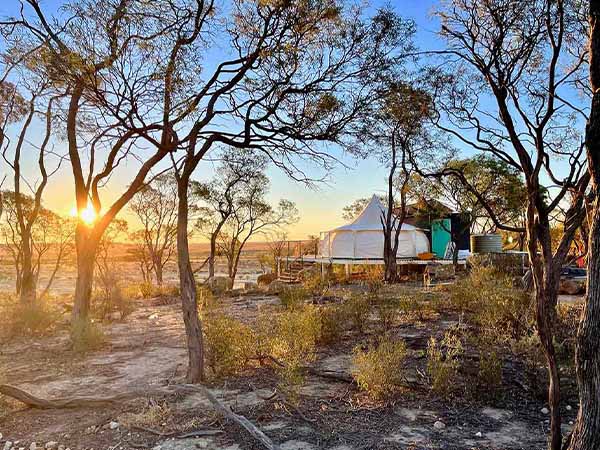 Tents in bushland, Rangeland Outback Camp, Queensland, Australia