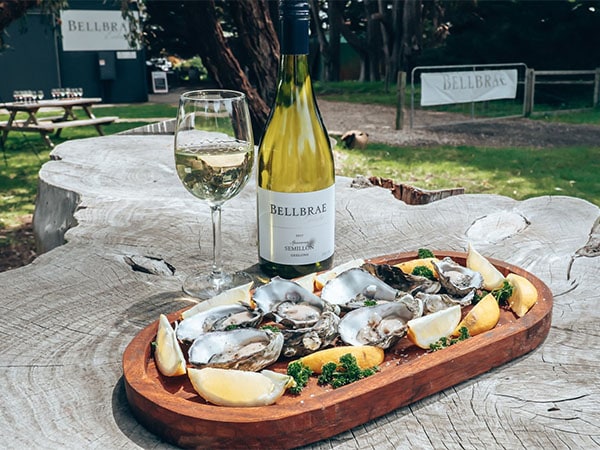 Wine and oysters platter, Bellbrae Estate, Great Ocean Road, VIC, Australia