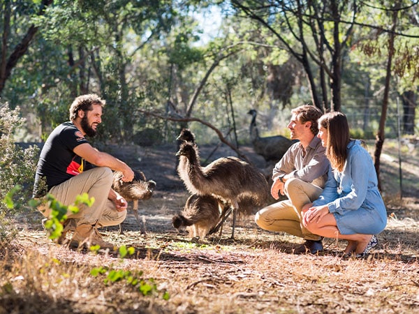 Emu Enclosure, Narana Aboriginal Cultural Centre art gallery, Geelong, VIC, Australia