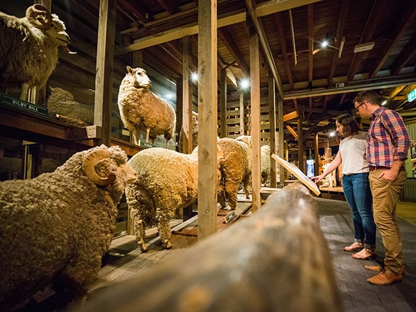 Interiors, National Wool Museum, Geelong, VIC, Australia