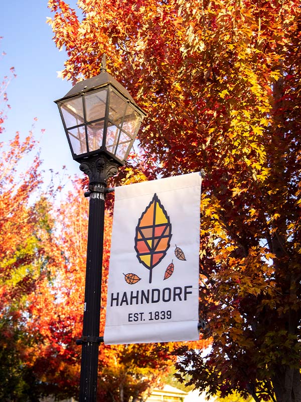Hahndorf village