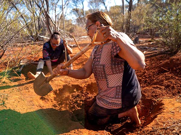 Honey Ant Tour, Bush Foods, Goldfields, WA, Australia