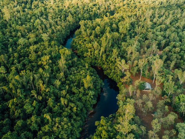 an aerial view of Abergowrie State Forest