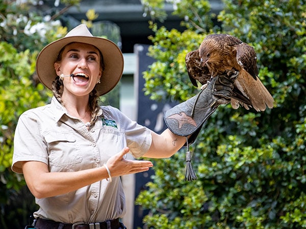 Currumbin Wildlife Sanctuary, Gold Coast, QLD, Australia