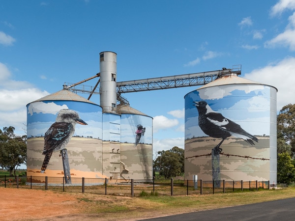 Geoffrey Carran silo art in Goroke of a magpie and kookaburra. (Image: Visit Victoria/Anne Morely)