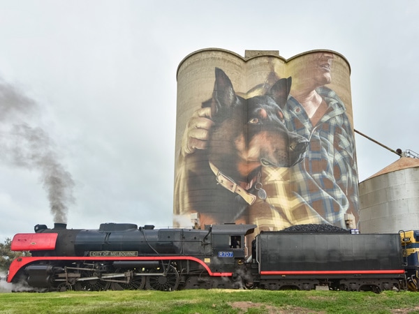 Artist Sam Bates (Smug) painted the Nullawil silo of a kelpie sheepdog and a farmer on the concrete canvas. (Image: Visit Victoria/Anne Morely) 