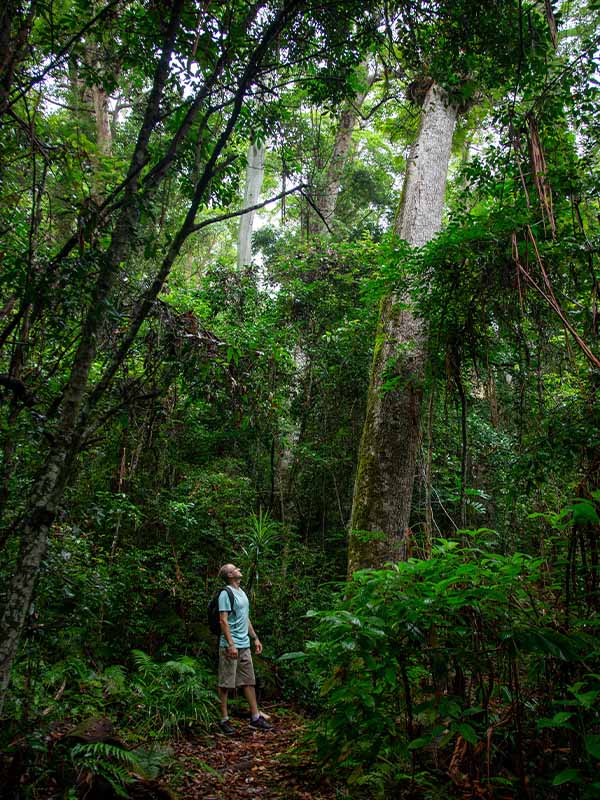 Hiking in Macleay Valley Coast, NSW, Australia