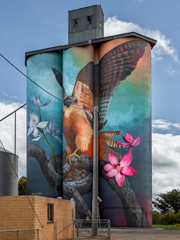 The Australian Hobby bird, and a plains sun orchid painted by David Lee Pereira on the Kaniva silos. (Image: Visit Victoria/Anne Morely)