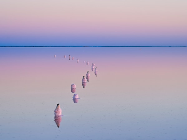 Pinks and purples reflect off Lake Tyrrell is Victoria's largest salt lake. (Image: Visit Victoria/Anne Morely)