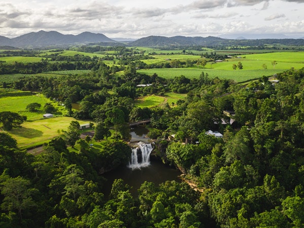 an aerial view of the rainforests surrounding Mena Creek Falls