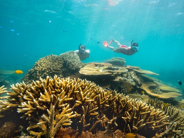 two people snorkelling at Orpheus Island