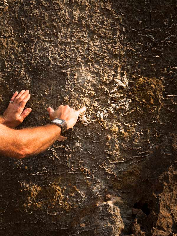 A man shows the fossils at Riversleigh Fossil Fields. (Image: Tourism and Events Queensland and Rowan Bestmann)