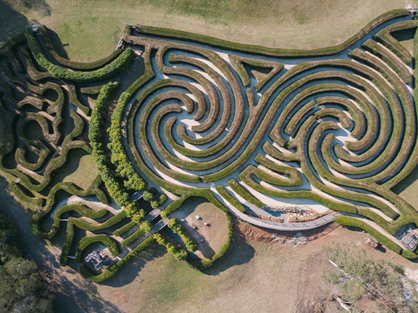 Bago Winery Hedge Maze, Port Macquarie, NSW, Australia