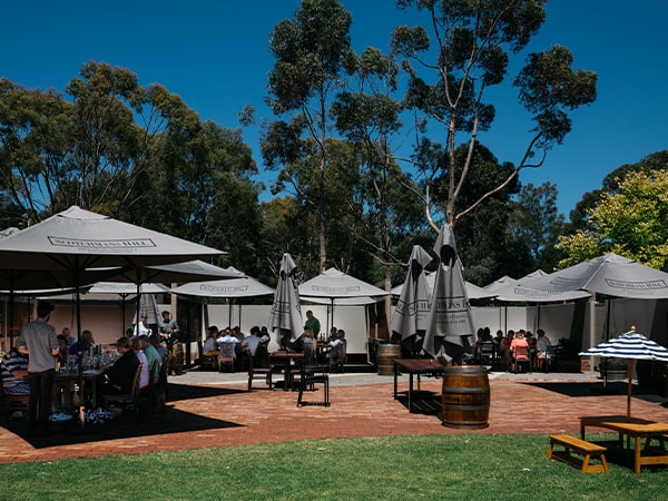 Terrace with umbrellas and tasting groups, Scotchmans Hill, Geelong, VIC, Australia
