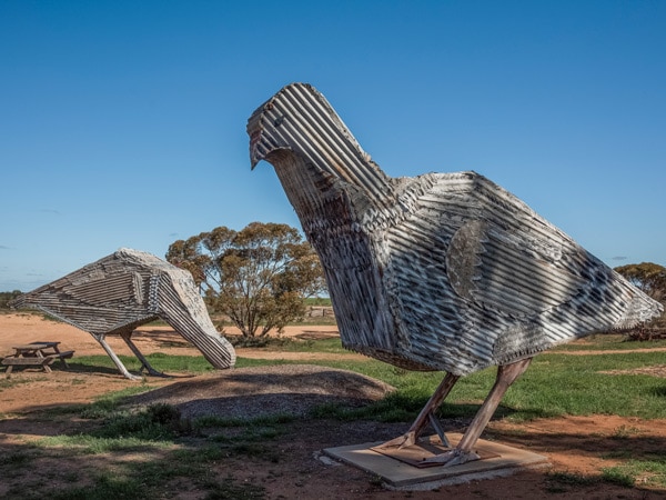 The Big Mallee Fowl in Patchewollock. (Image: Visit Victoria/Anne Morely)