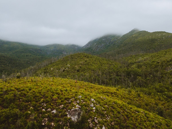 foggy landscapes at Thorsborne Trail