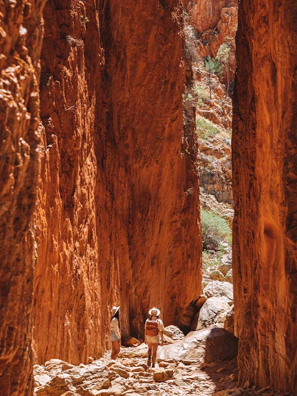 Standley Chasm Hike