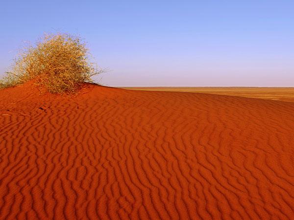 Binns Track dunes