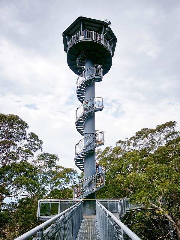 Illawarra Fly Treetop Adventures, NSW, Australia