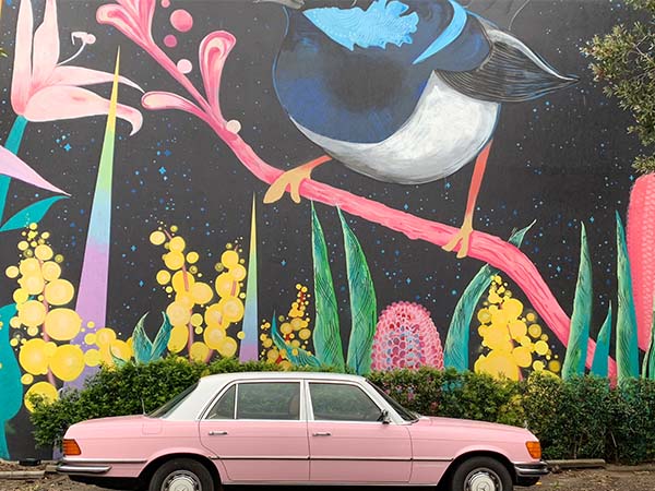Pink Mercedes tour
